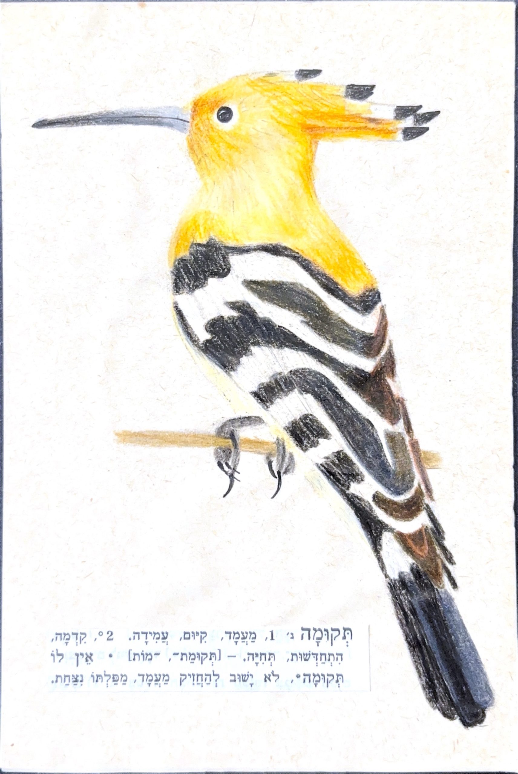גלויה מספר 225