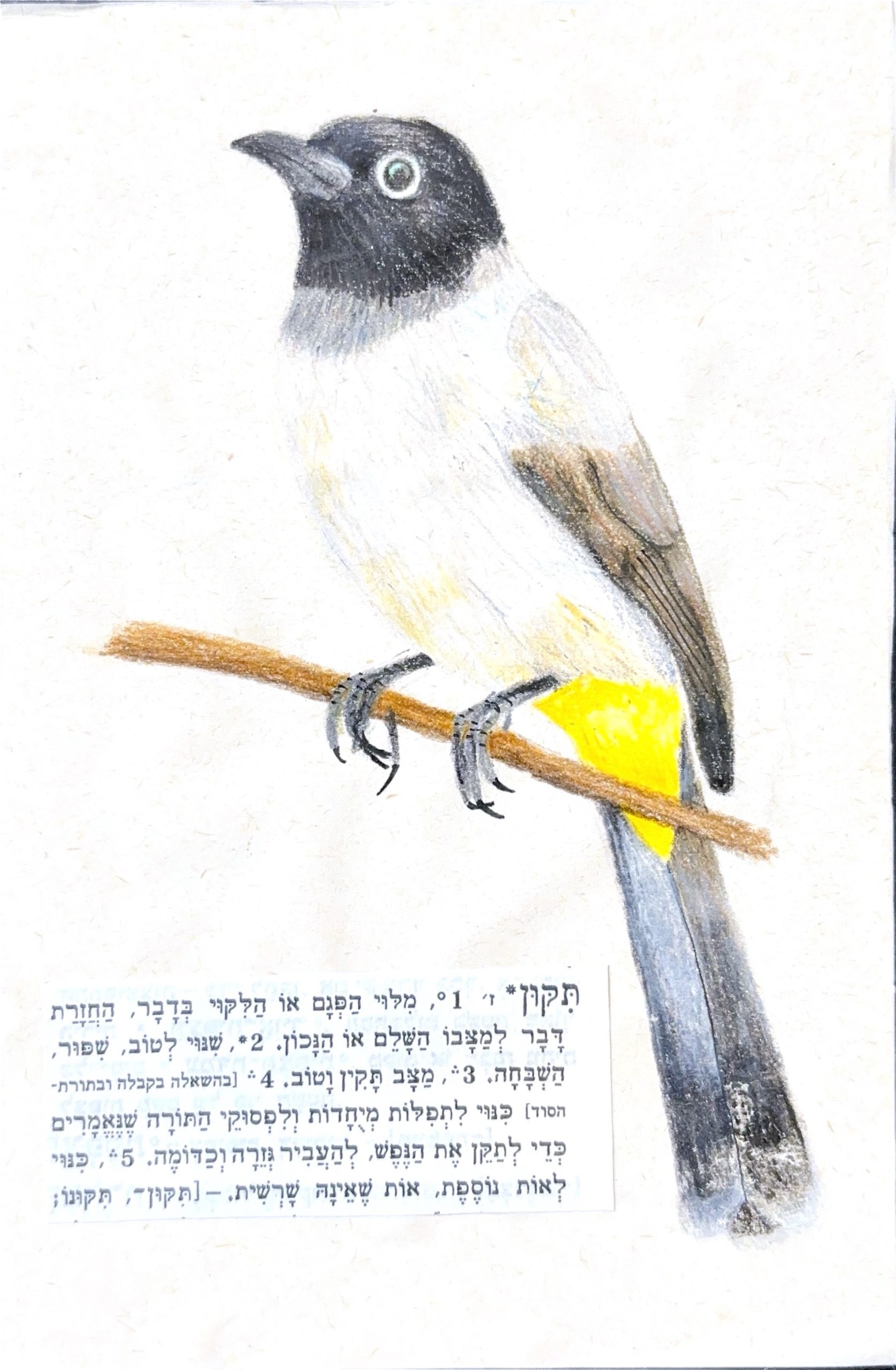 גלויה מספר 226