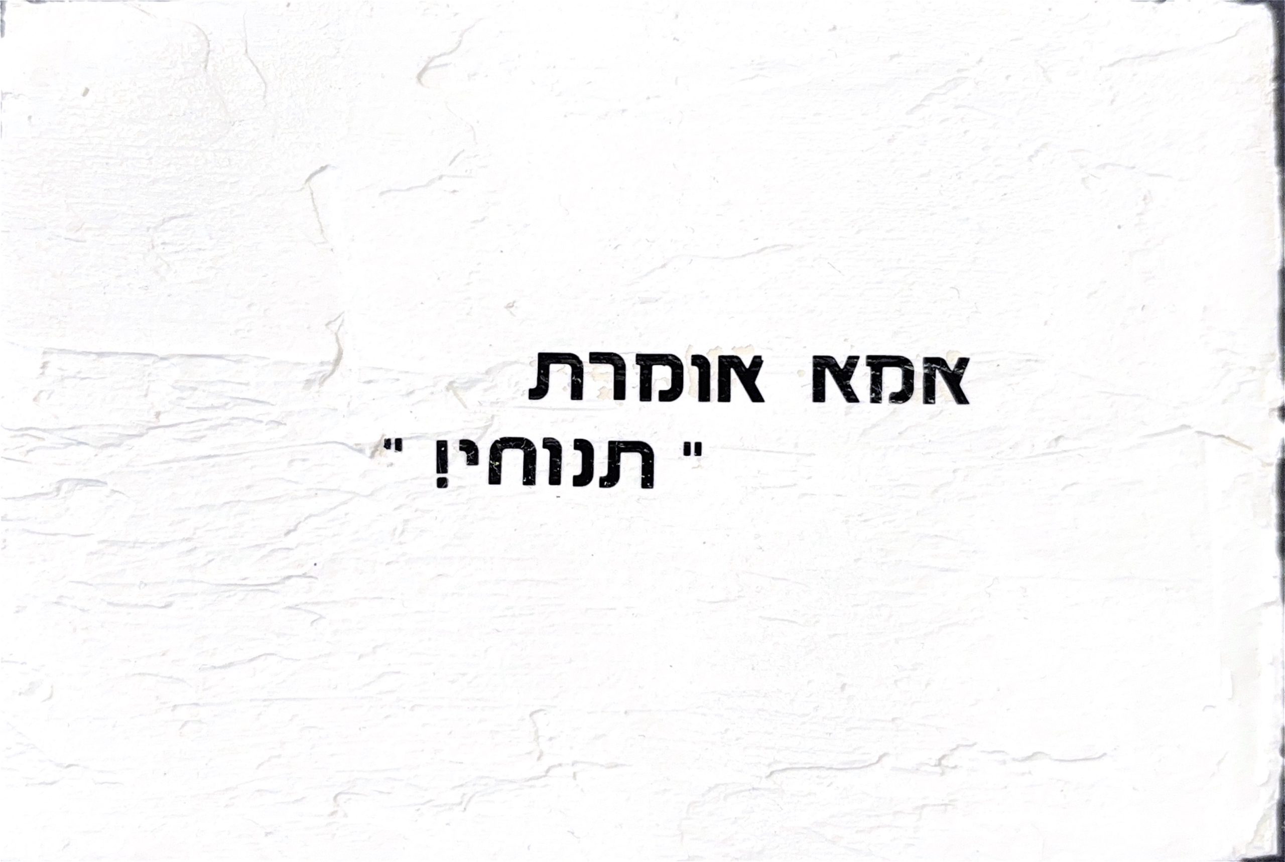 גלויה מספר 239
