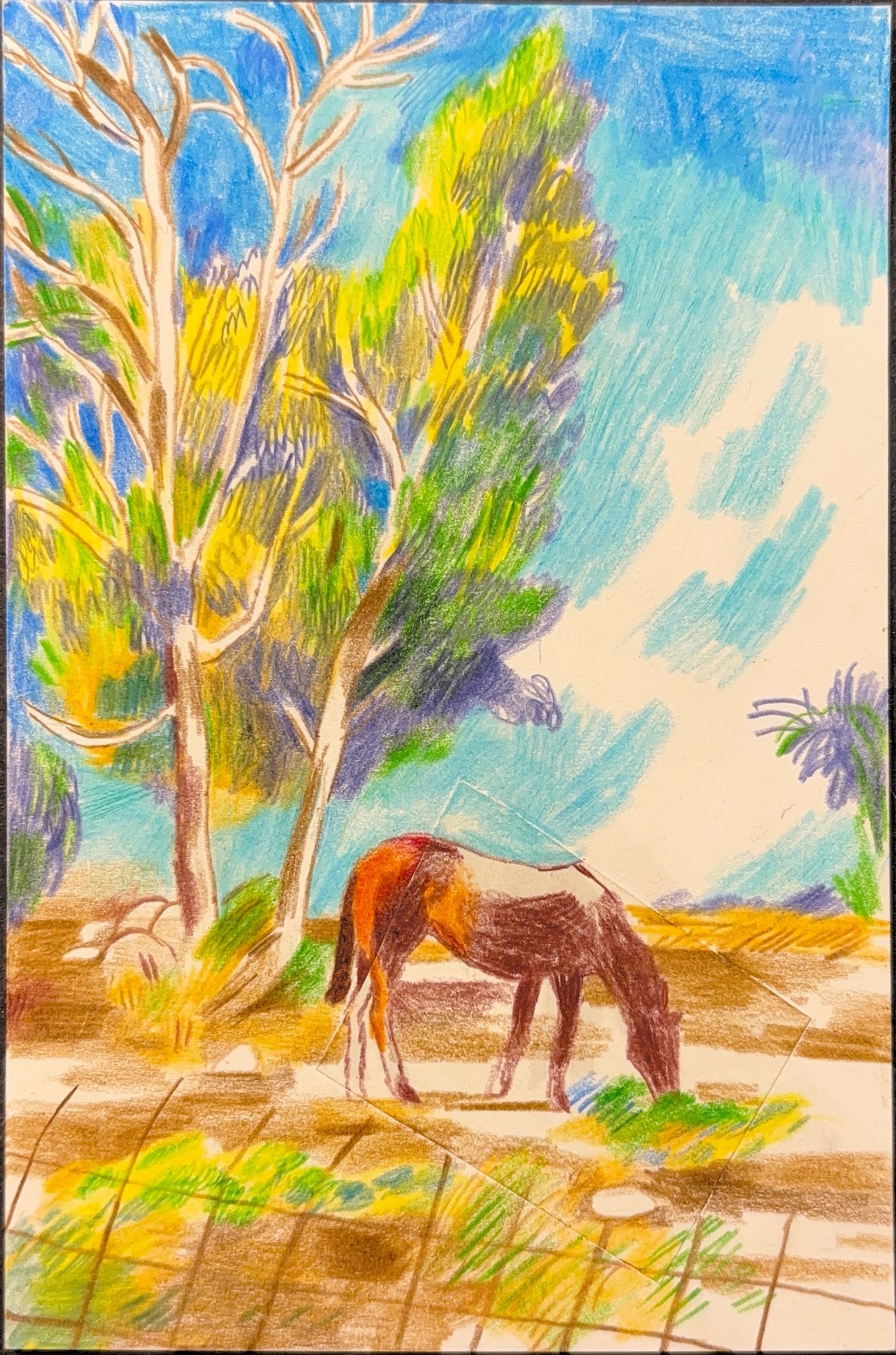 גלויה מספר 336
