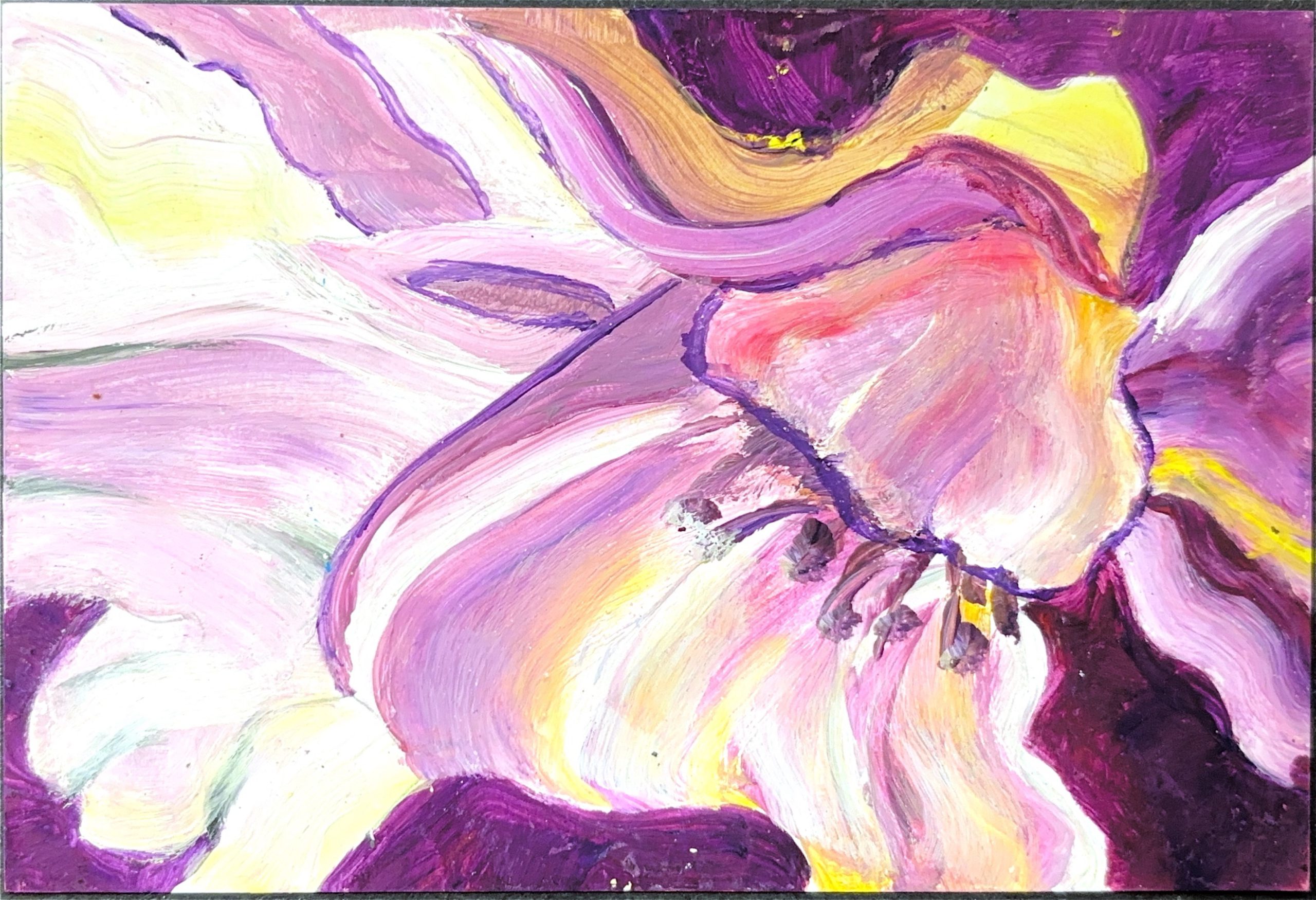 גלויה מספר 372