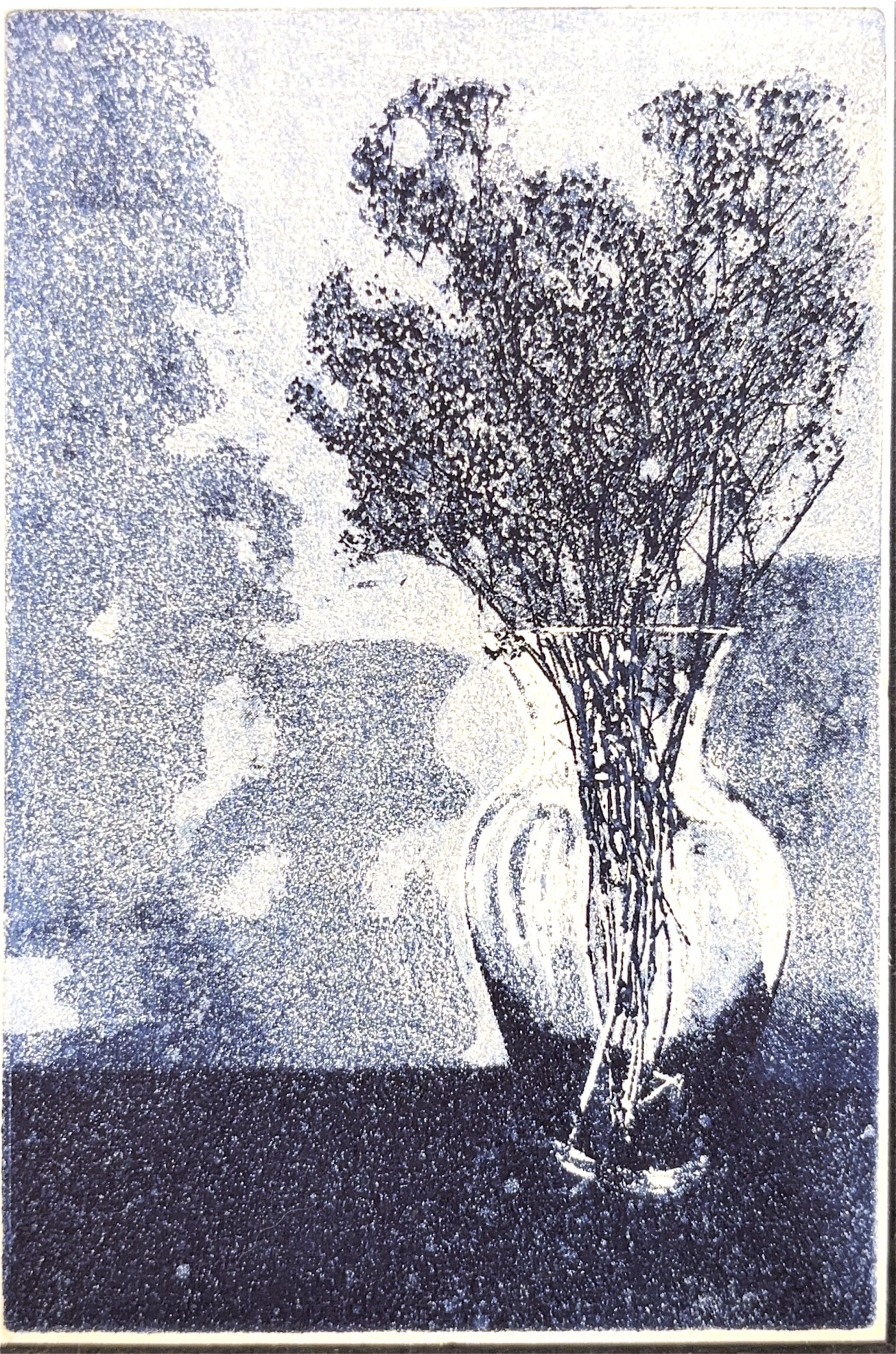 גלויה מספר 41