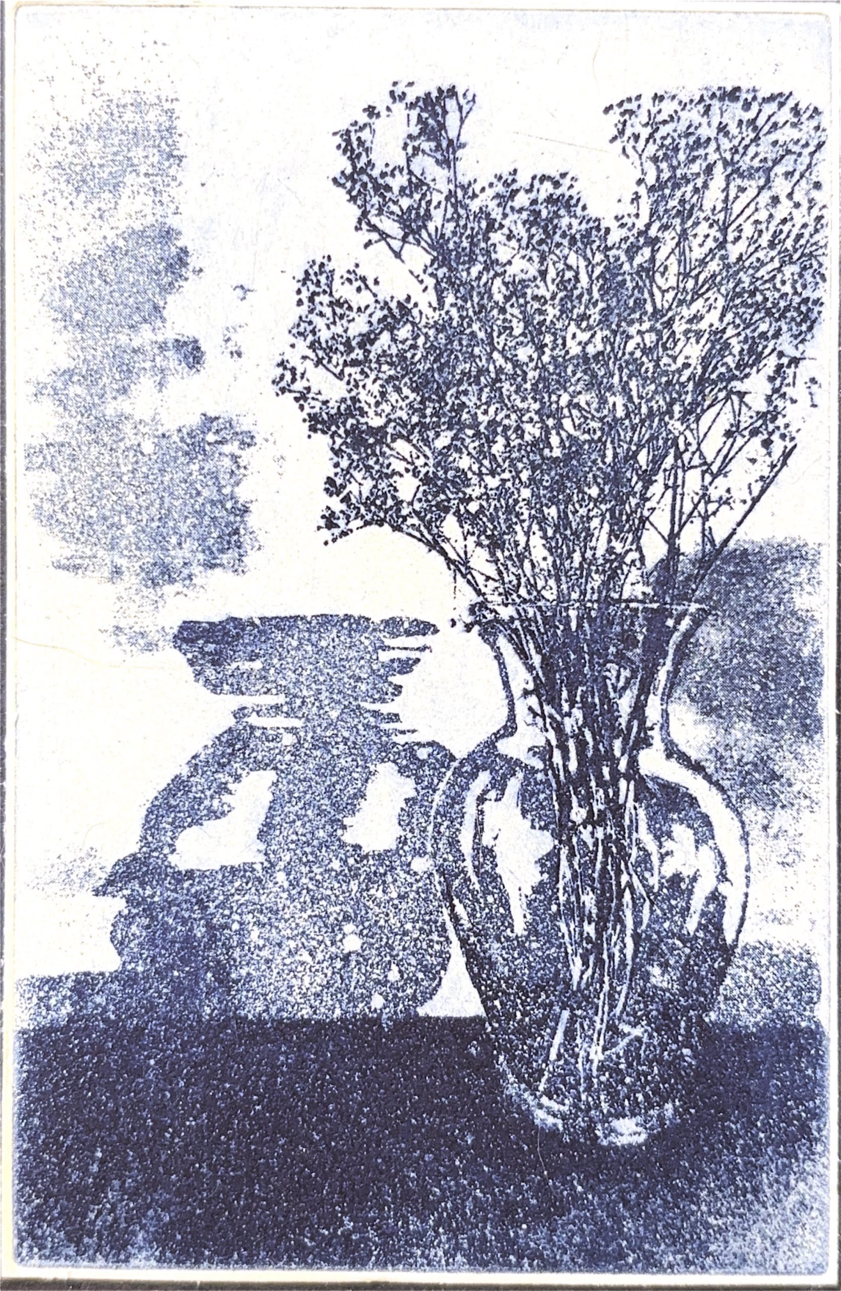 גלויה מספר 42