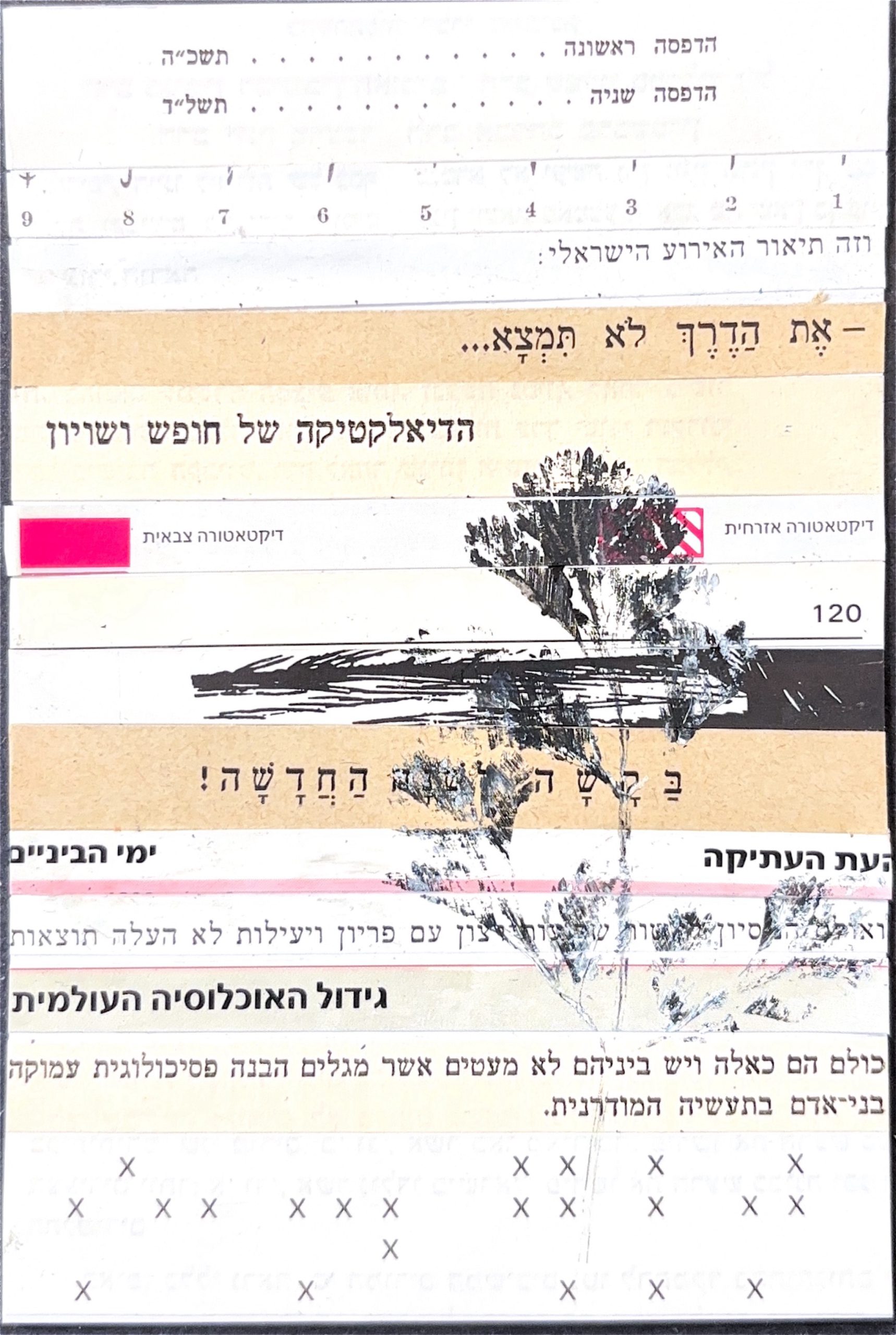 גלויה מספר 503
