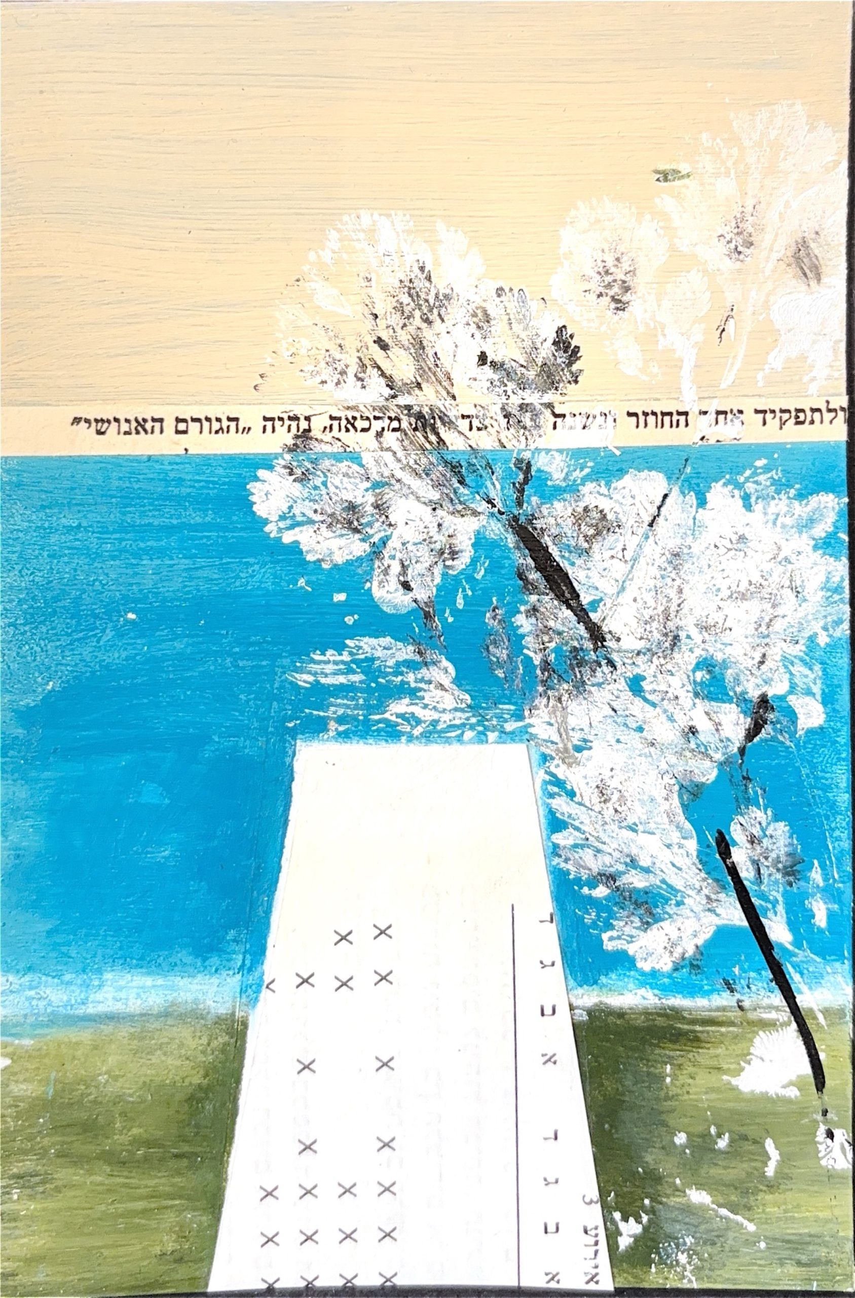 גלויה מספר 504