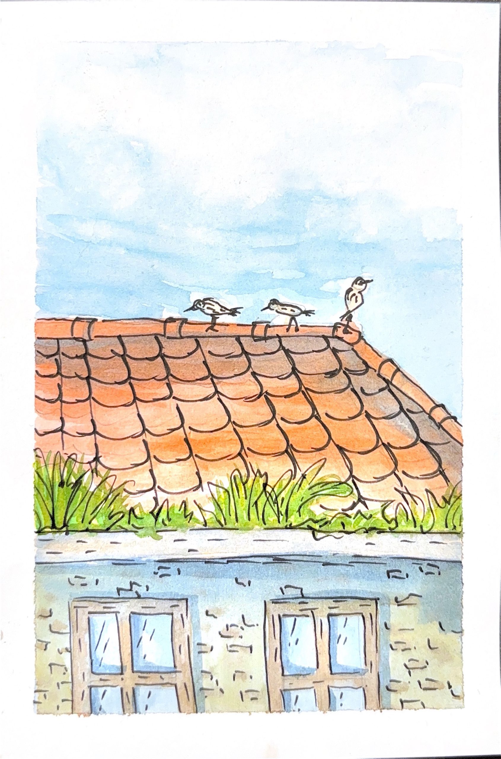 גלויה מספר 513