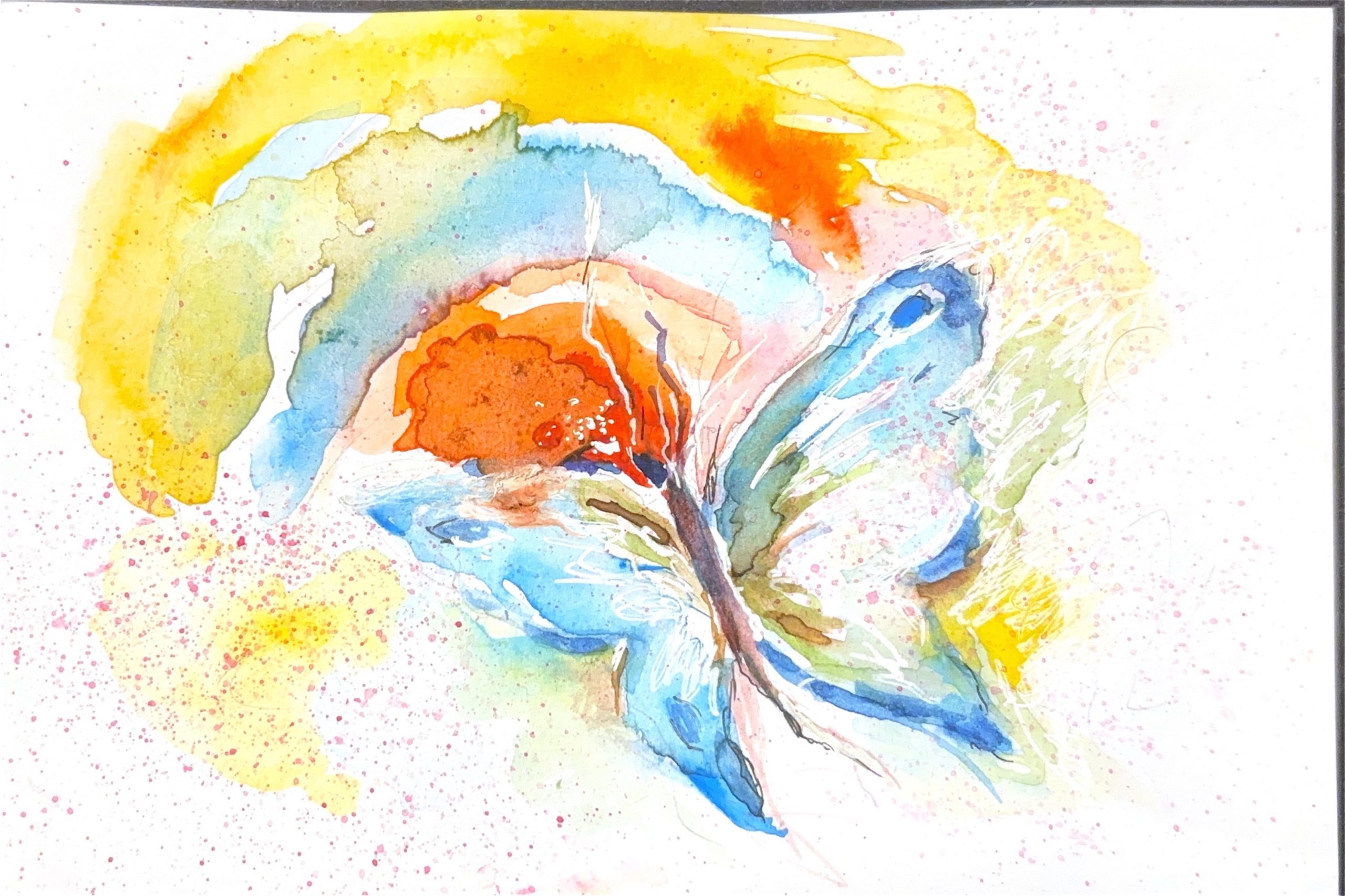 גלויה מספר 563