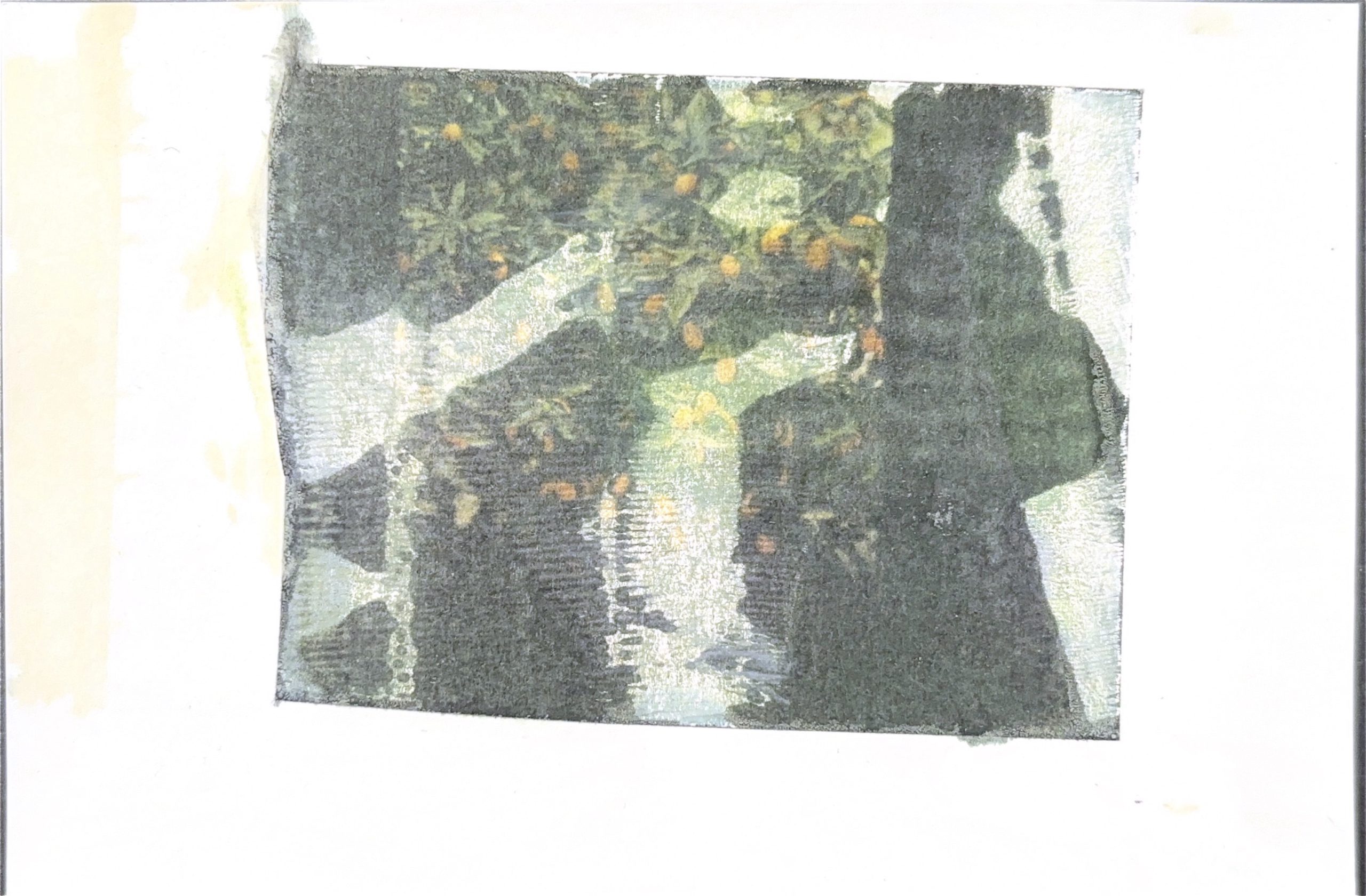 גלויה מספר 568