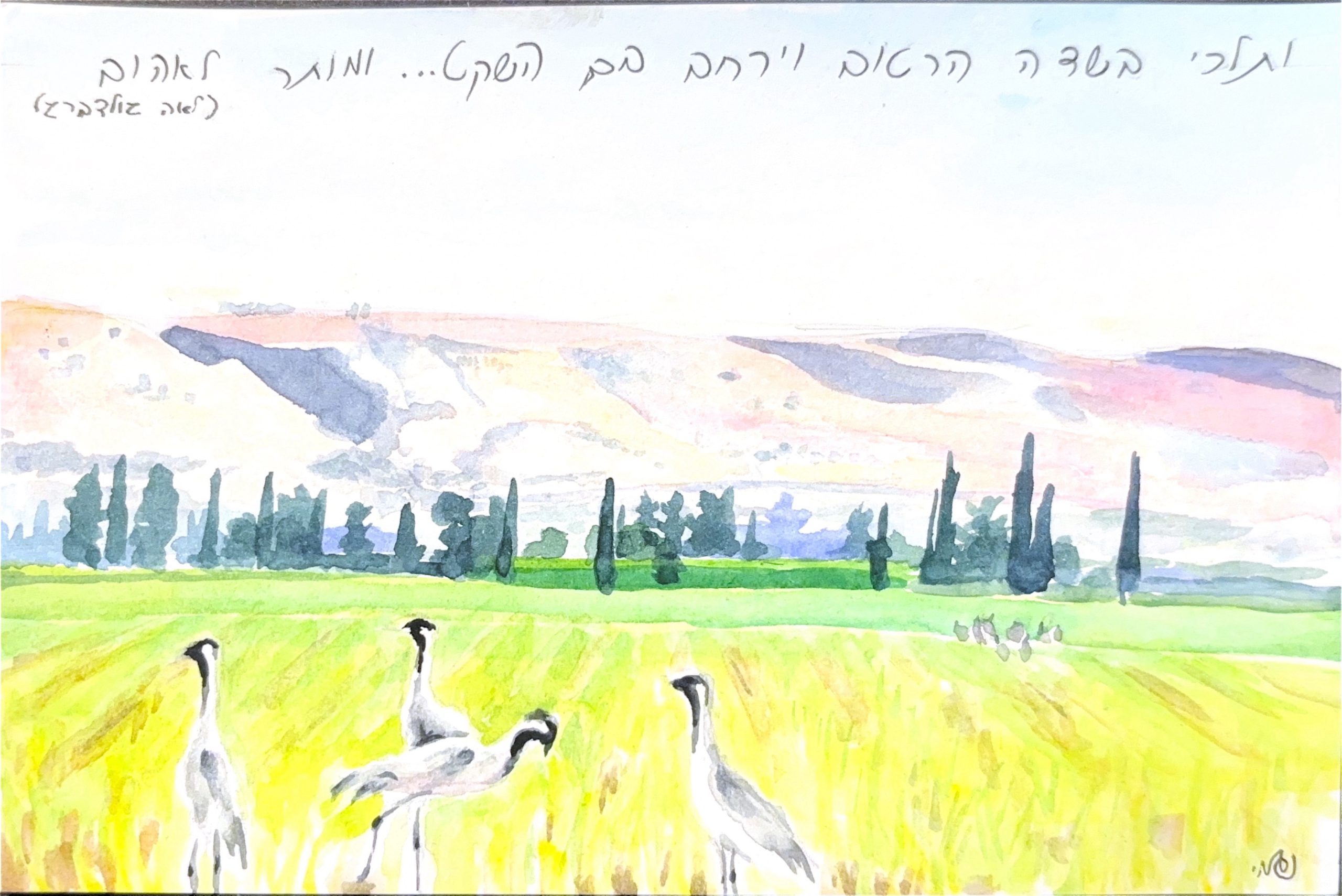 גלויה מספר 636