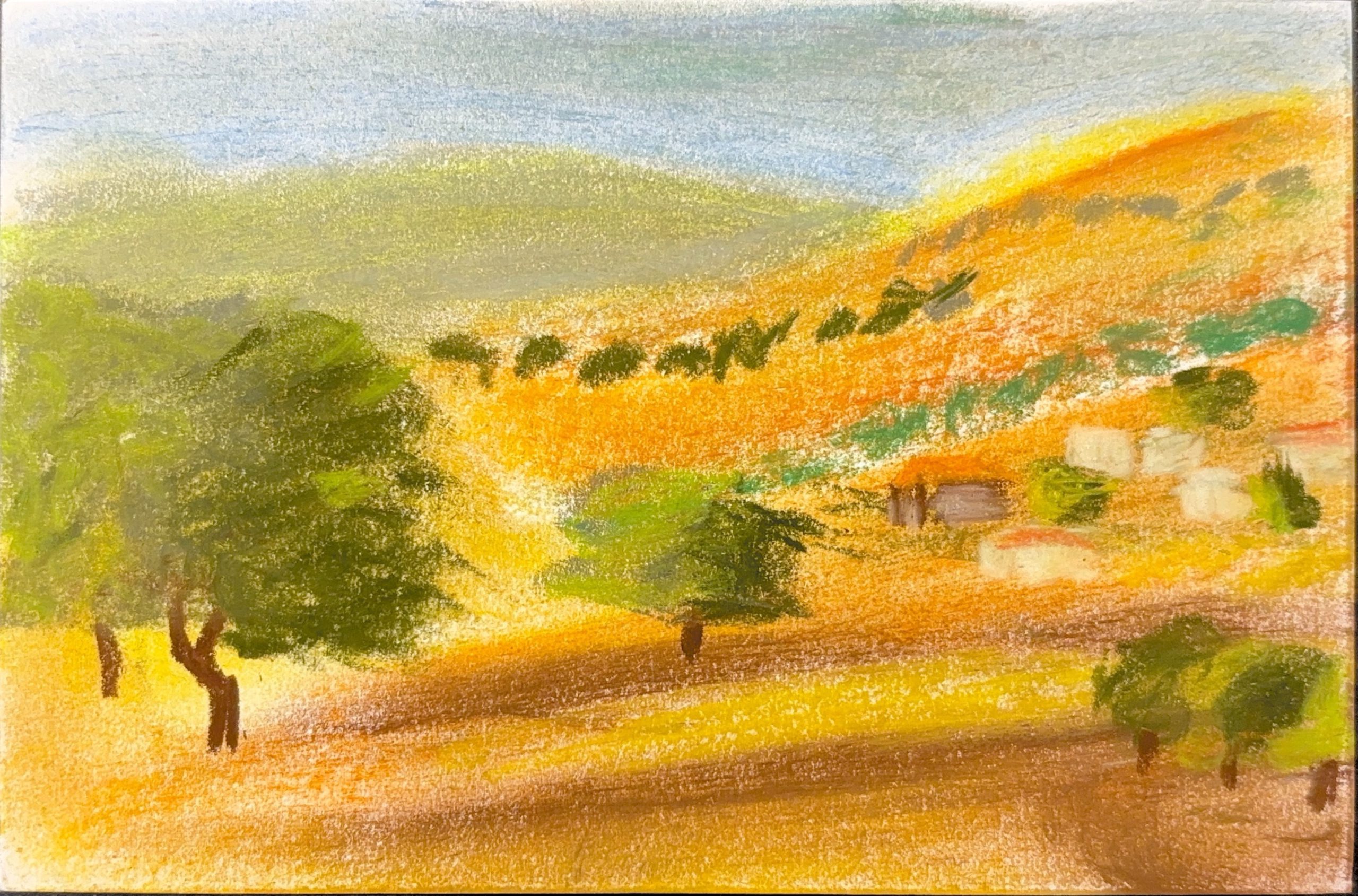 גלויה מספר 781
