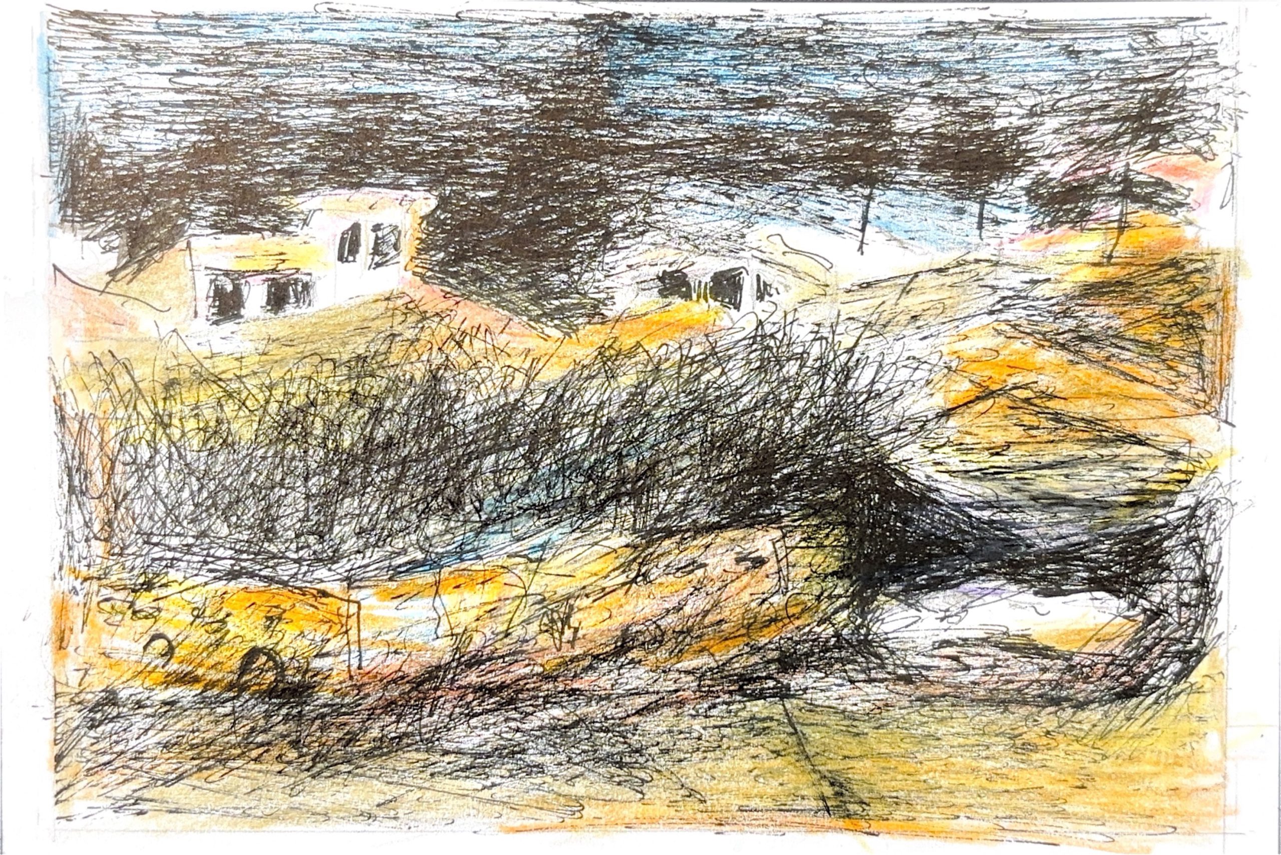 גלויה מספר 794