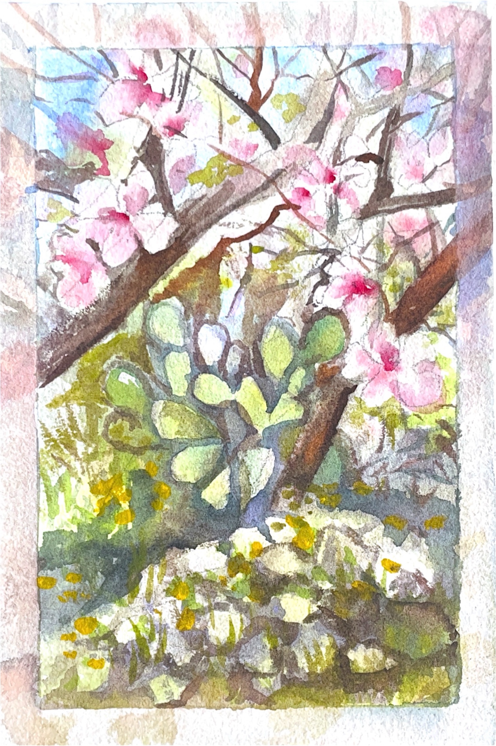 גלויה מספר 203