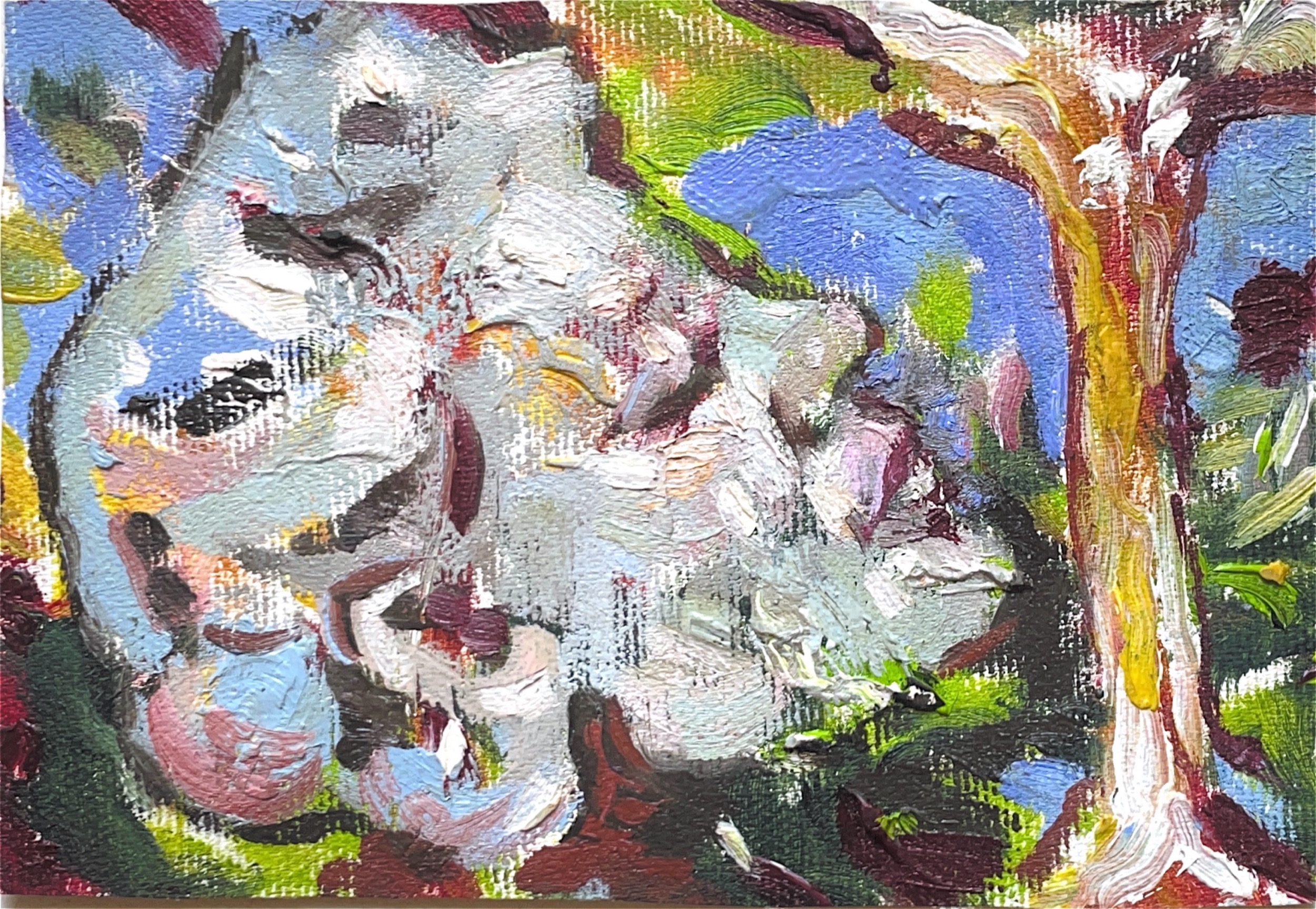 גלויה מספר 276