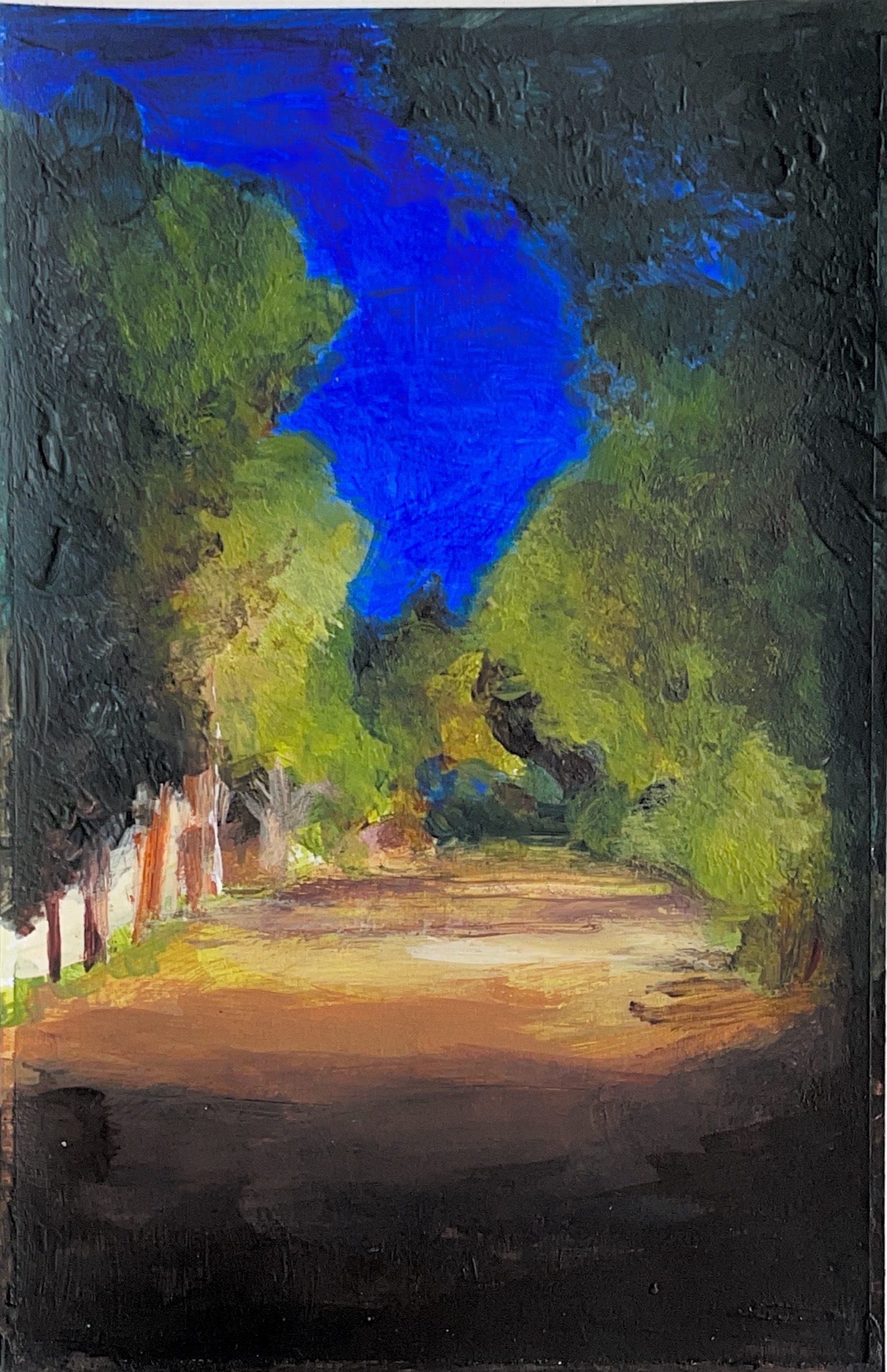 גלויה מספר 281