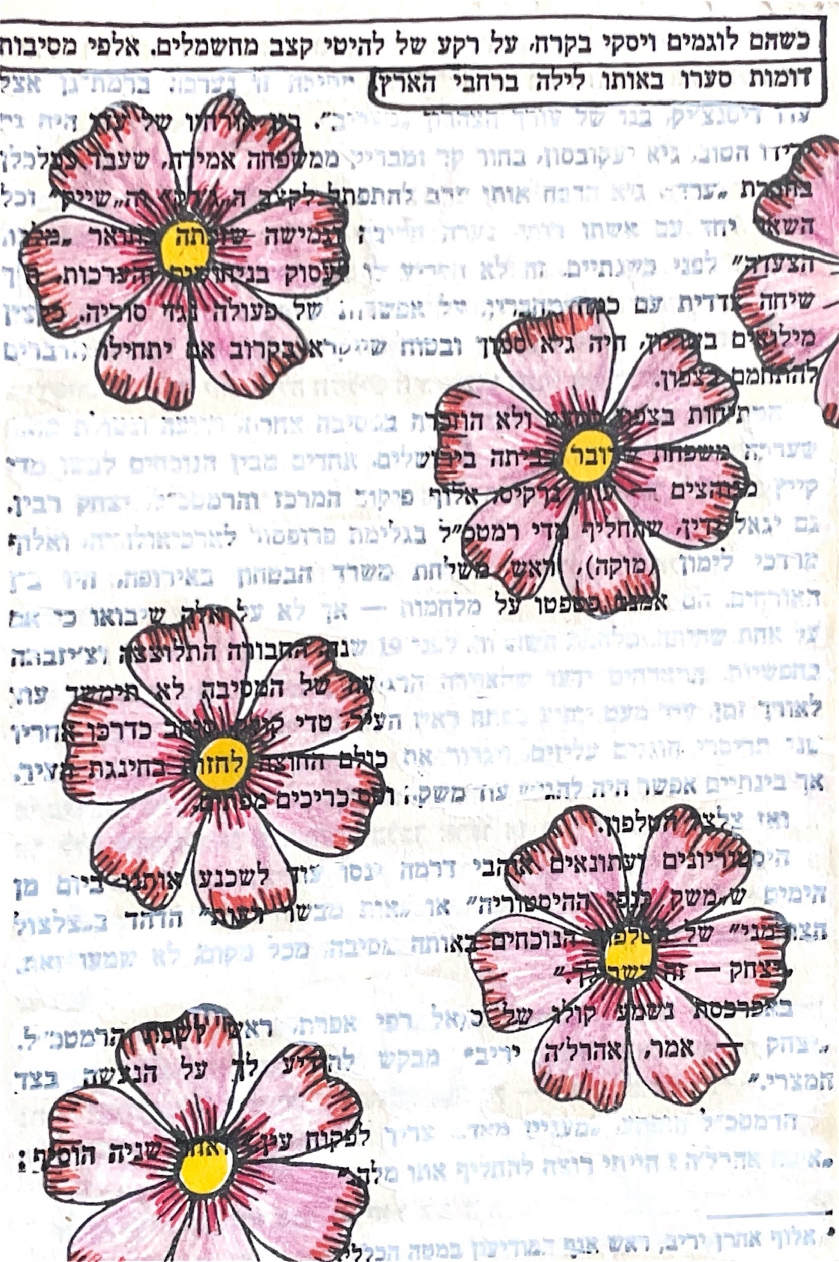 גלויה מספר 417