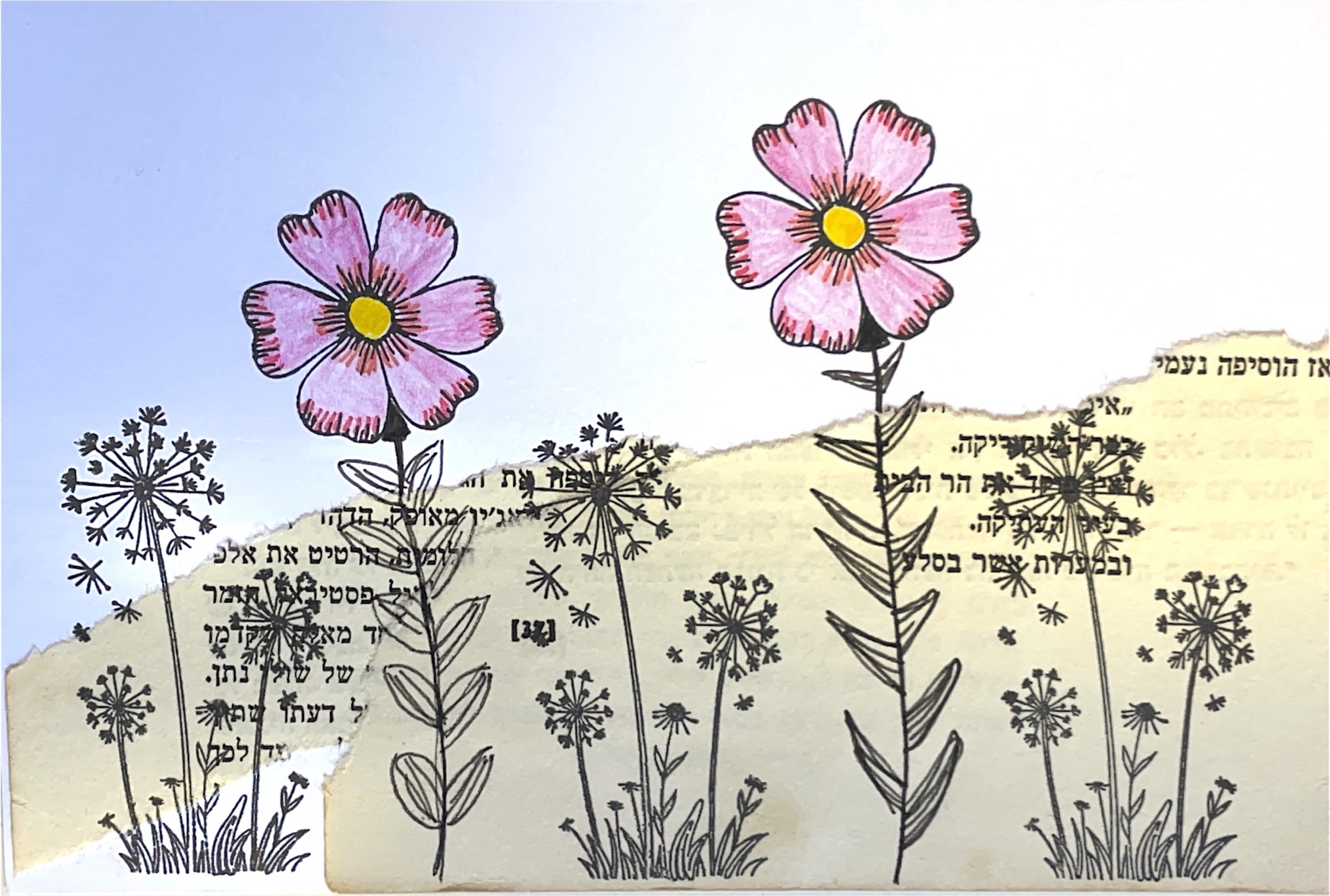 גלויה מספר 418