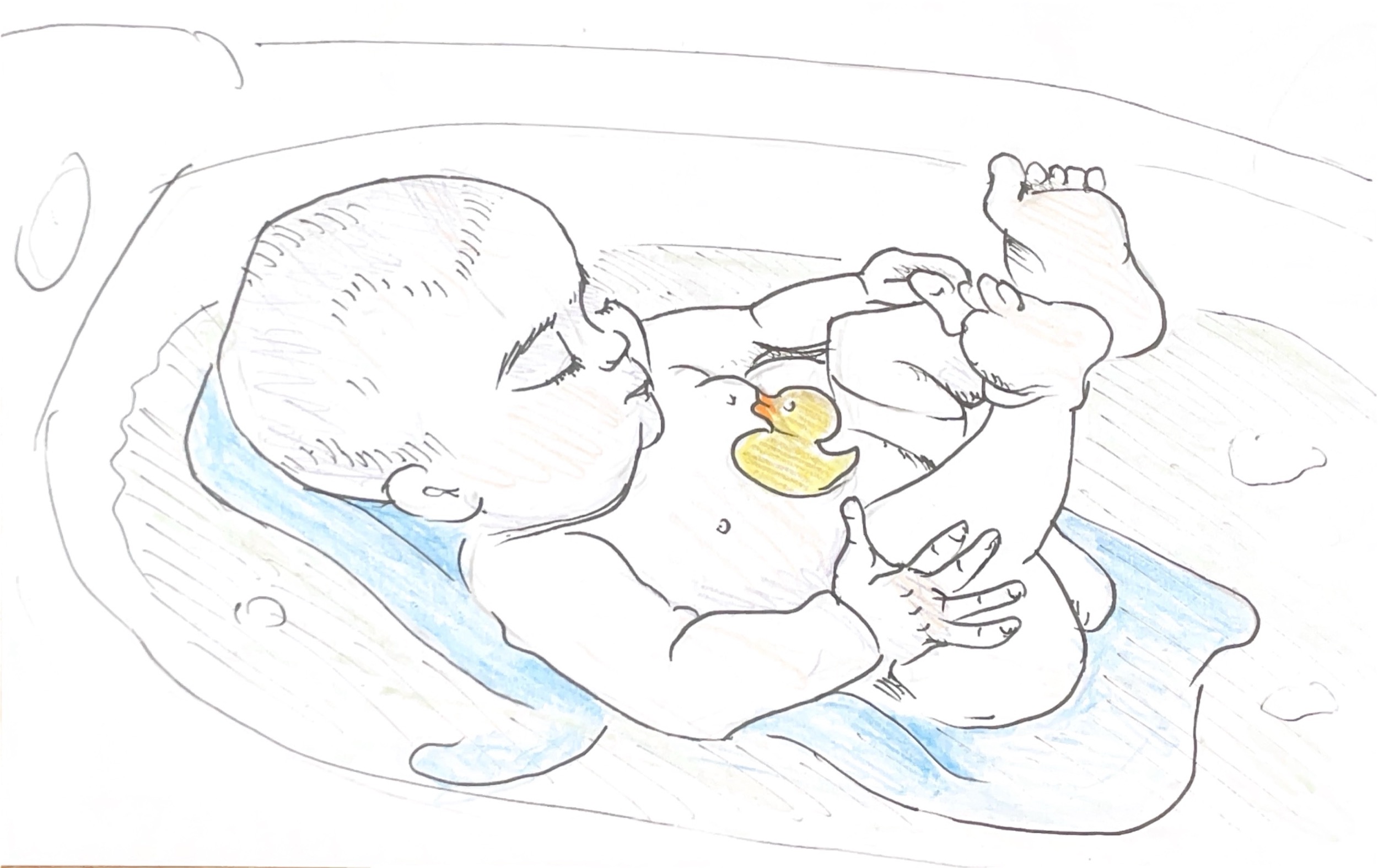 גלויה מספר 742